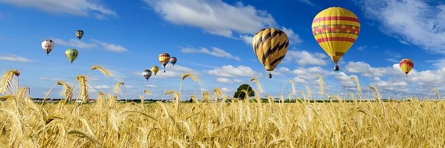 Getreidefeld mit Heißluftballons