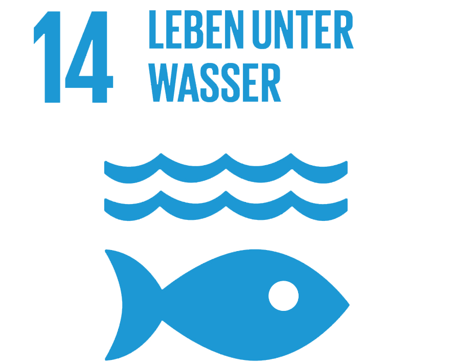 SDG14 - Leben unter Wasser