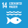 SDG14 Leben unter Wasser