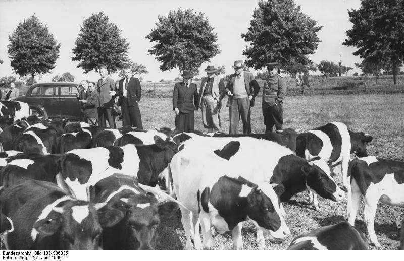 Die SMAD übergibt hier das Gut Großbeeren an die deutsche Verwaltung (Juni 1949).