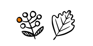 Flora Incognita verwenden