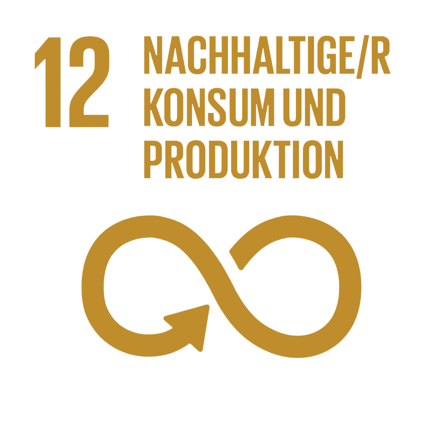 SDG 12 - Nachhaltige/r Konsum und Produktion