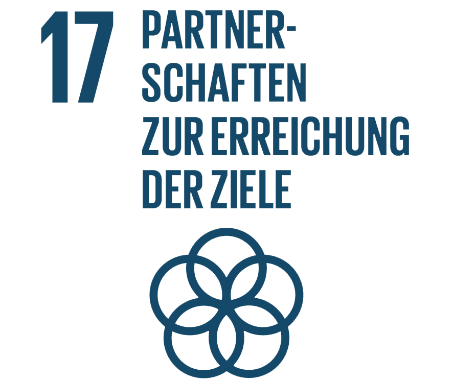 SDG17 - Partnerschaften zur Erreichung der Ziele