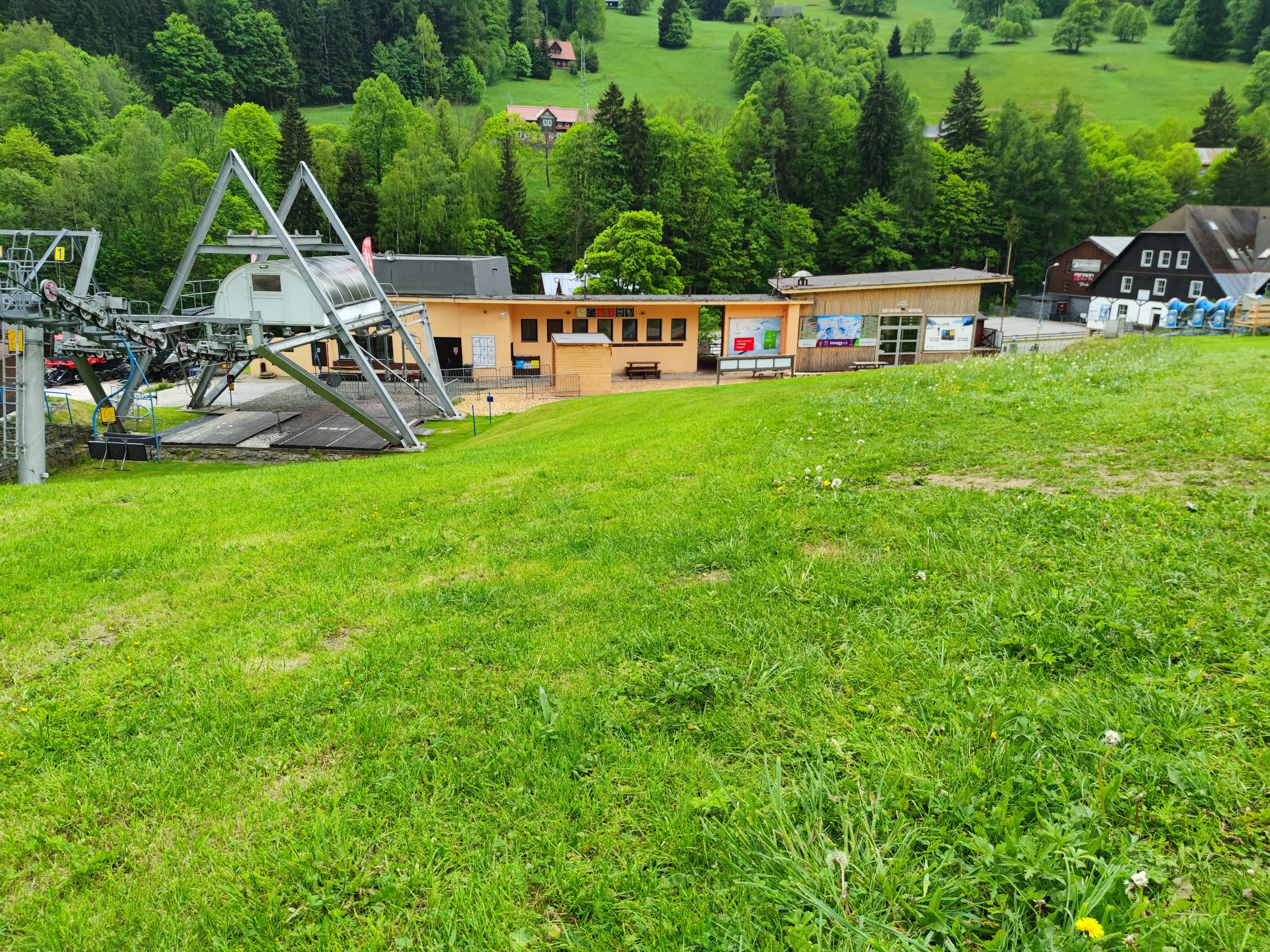 Wiese mit Spuren der Nutzung als Skipiste