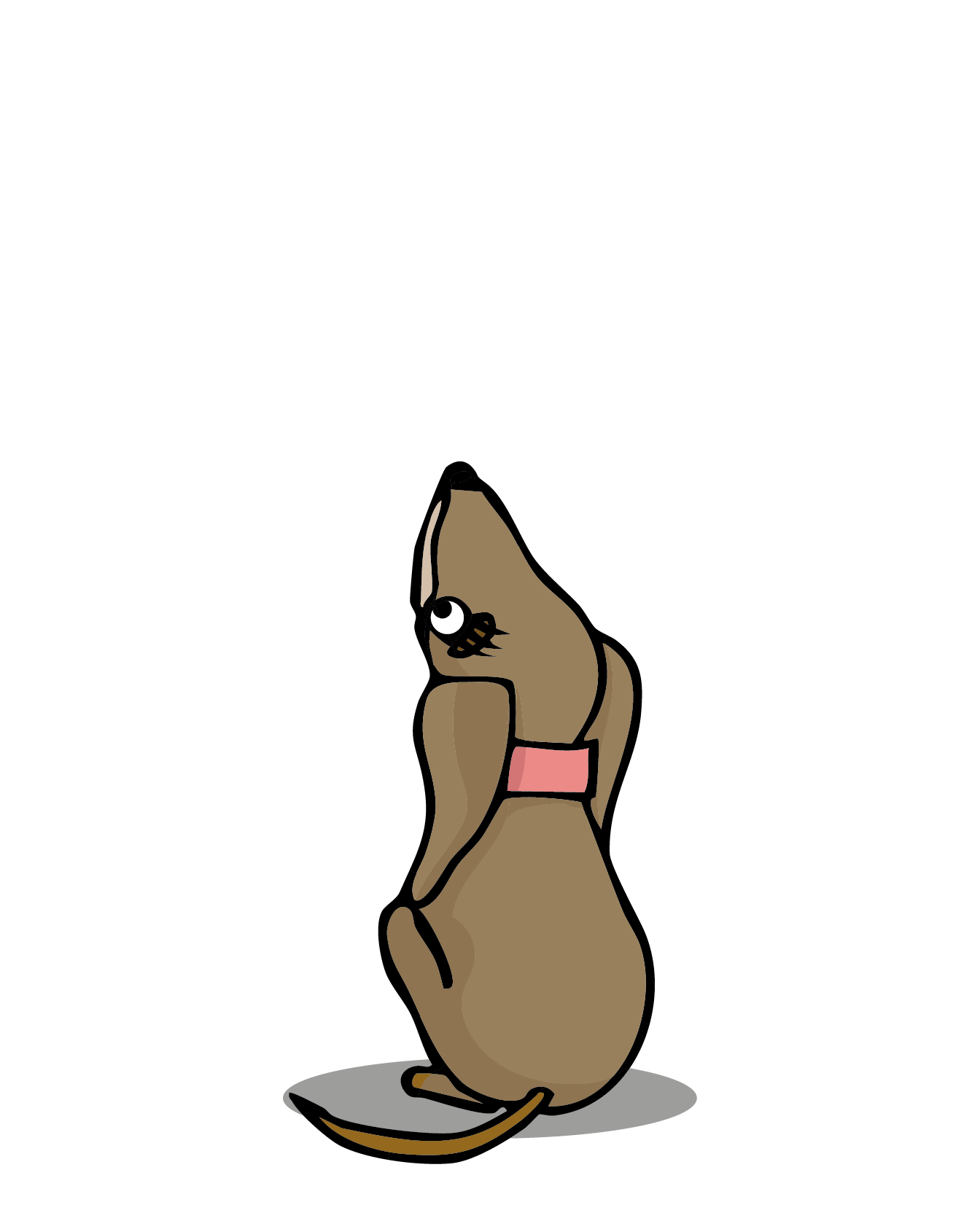 Pixi, sitzend, von hinten, schaut nach oben