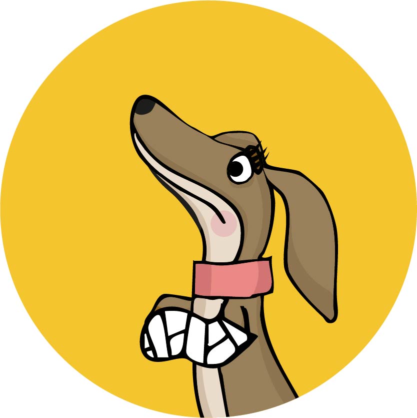 Dackeldame Pixi, mit rosa Halsband und eingegipster Pfote schaut nachdenklich nach oben