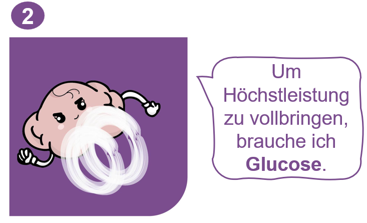 Das Gehirn flitzt ganz schnell, die Beine drehen durch und es sagt: Um Höchstleistungen zu vollbringen, brauche ich Glucose.