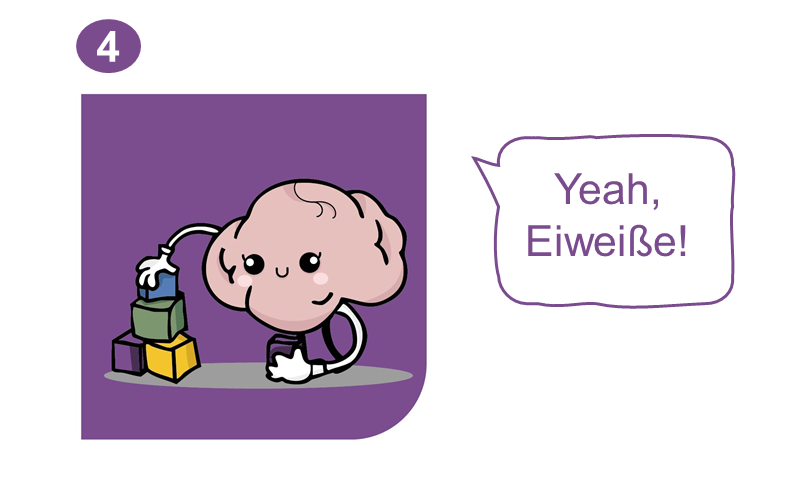 Zeichnung vom Gehirn, baut mit Bausteinen, verdeutlichen die Eiweiße in einer Sprechblase steht: Yeah Eiweiße
