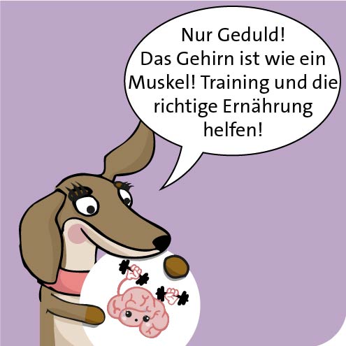 Nur Geduld!
Das Gehirn ist wie ein Muskel! Training und die richtige Ernährung helfen!