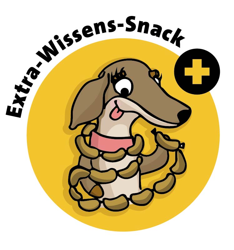 Dackelhündin Pixi mit einer Würstchenkette und den Worten Extra-Wissens-Snack