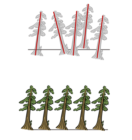 eine Baumreihe mit wild durcheinander stehenden Bäume und eine Reihe mit geordneten Bäumen