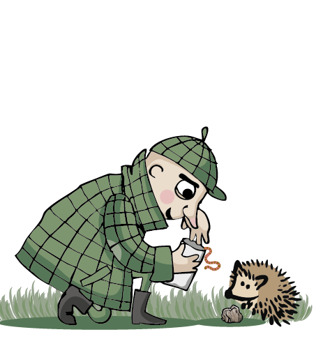 Detektiv Homms füttert einen Igel mit einem Wurm aus einer Tüte. 