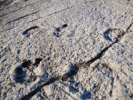 Fußspuren eines Dinosauriers in Stein