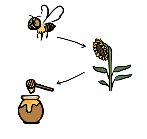 Eine Biene, eine Sonnenblume und ein Topf Honig