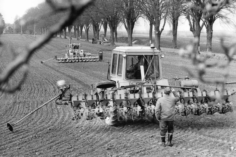 Foto von 1989, Aussaat von Zuckerrüben