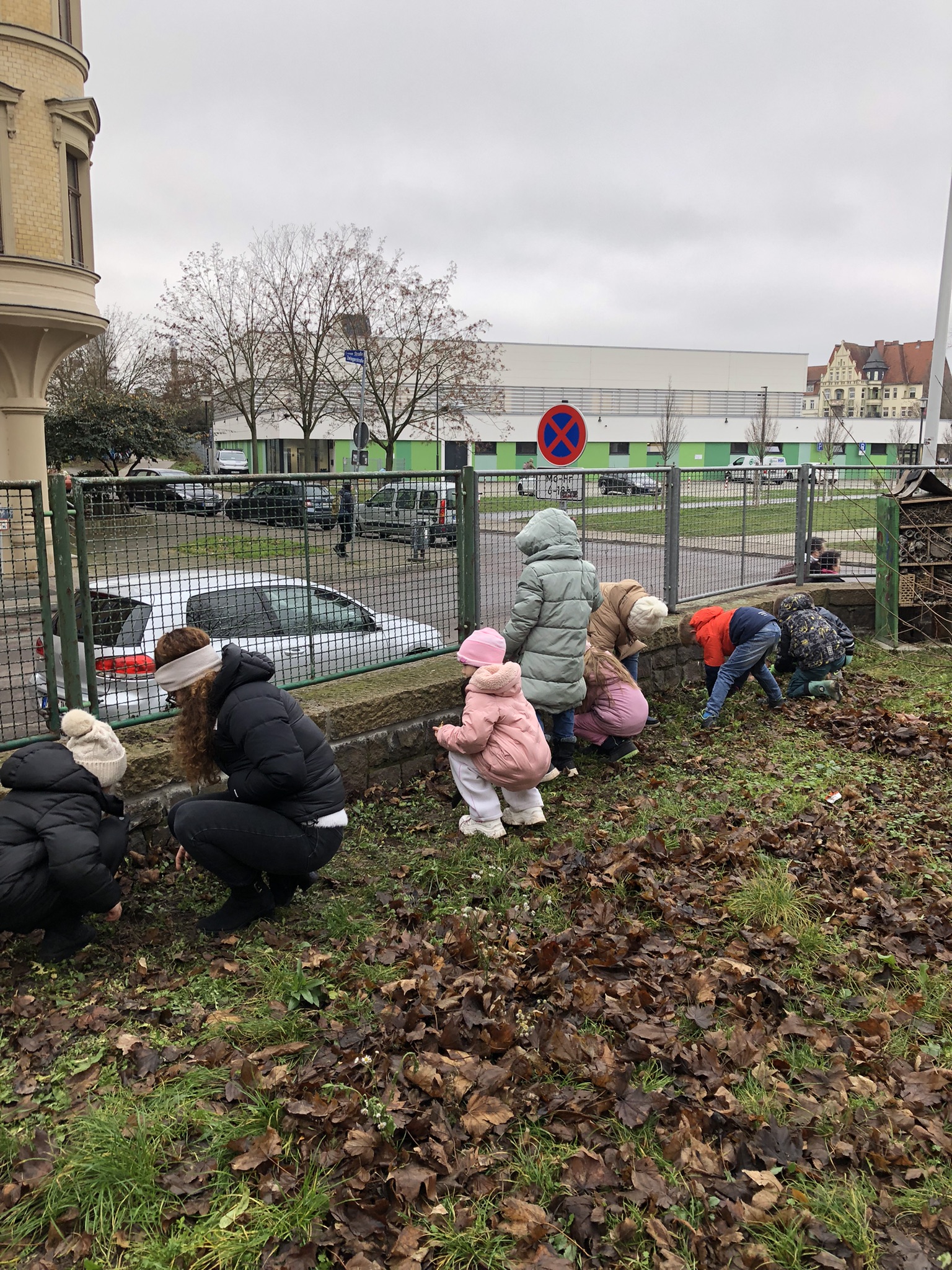 Frühblüher