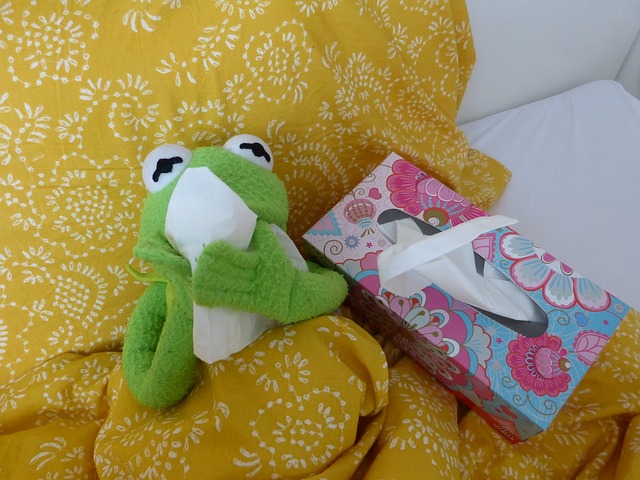 Kermit der Frosch liegt krank im Bett. Er benutzt ein Taschentusch.