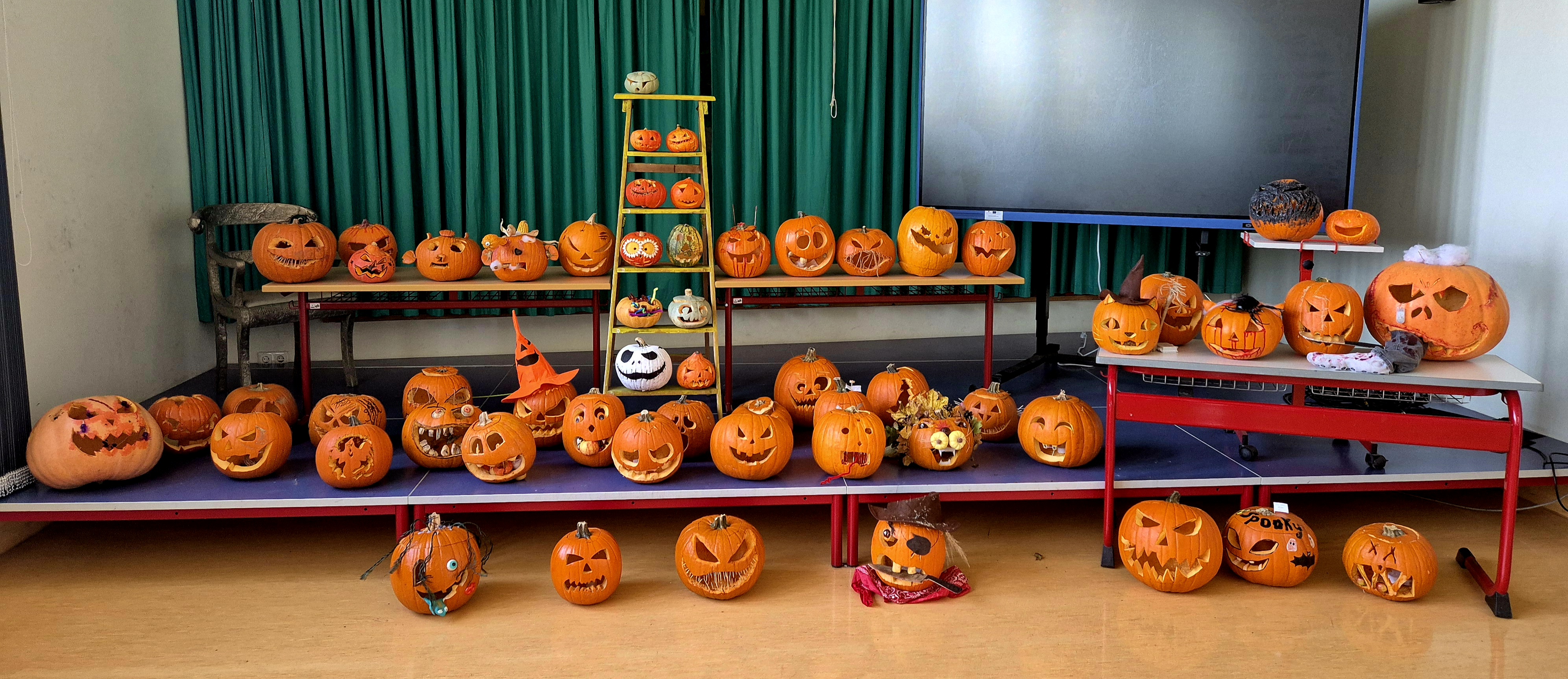 Anhang 20251029_130006.jpg