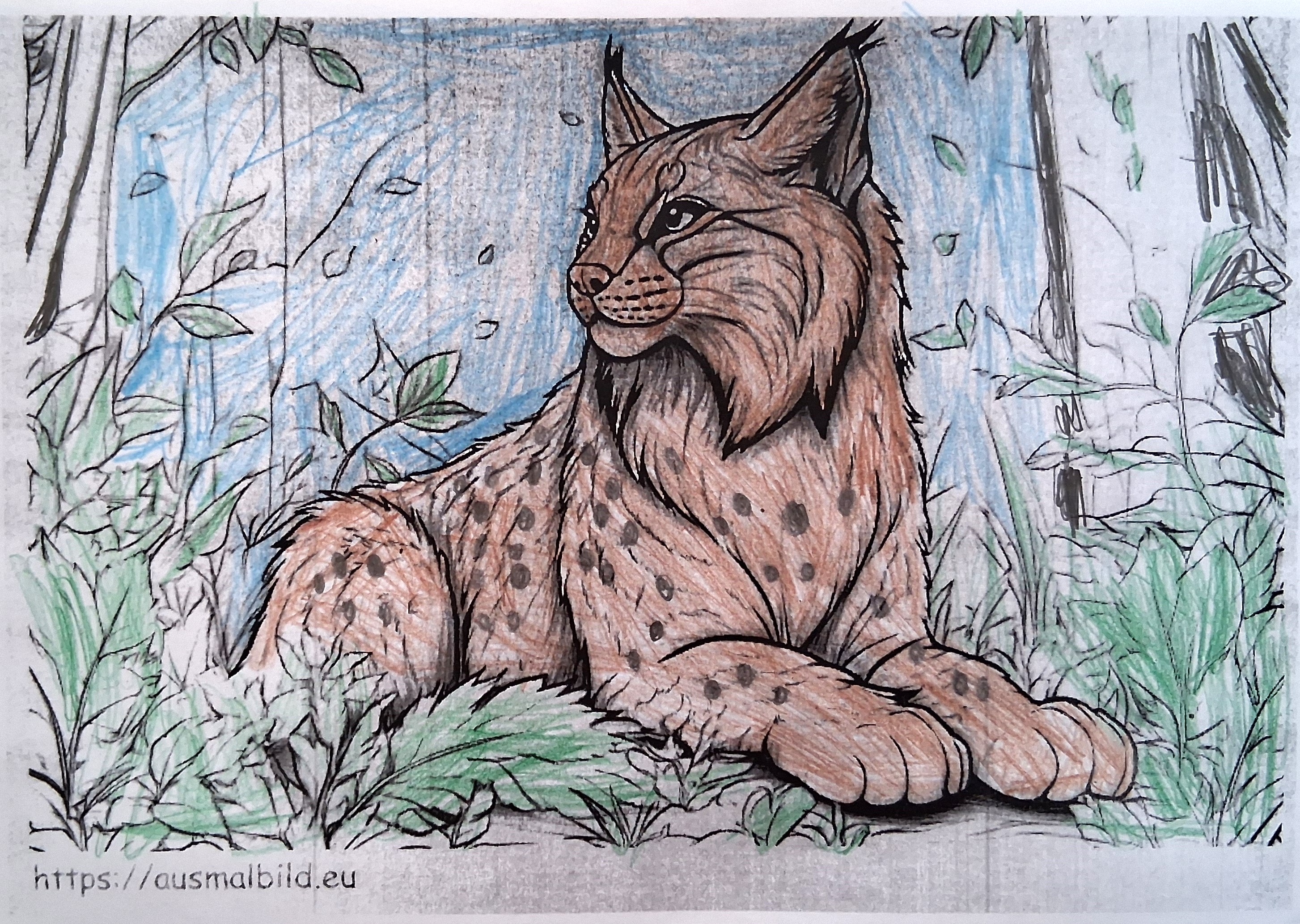 Luchs 1