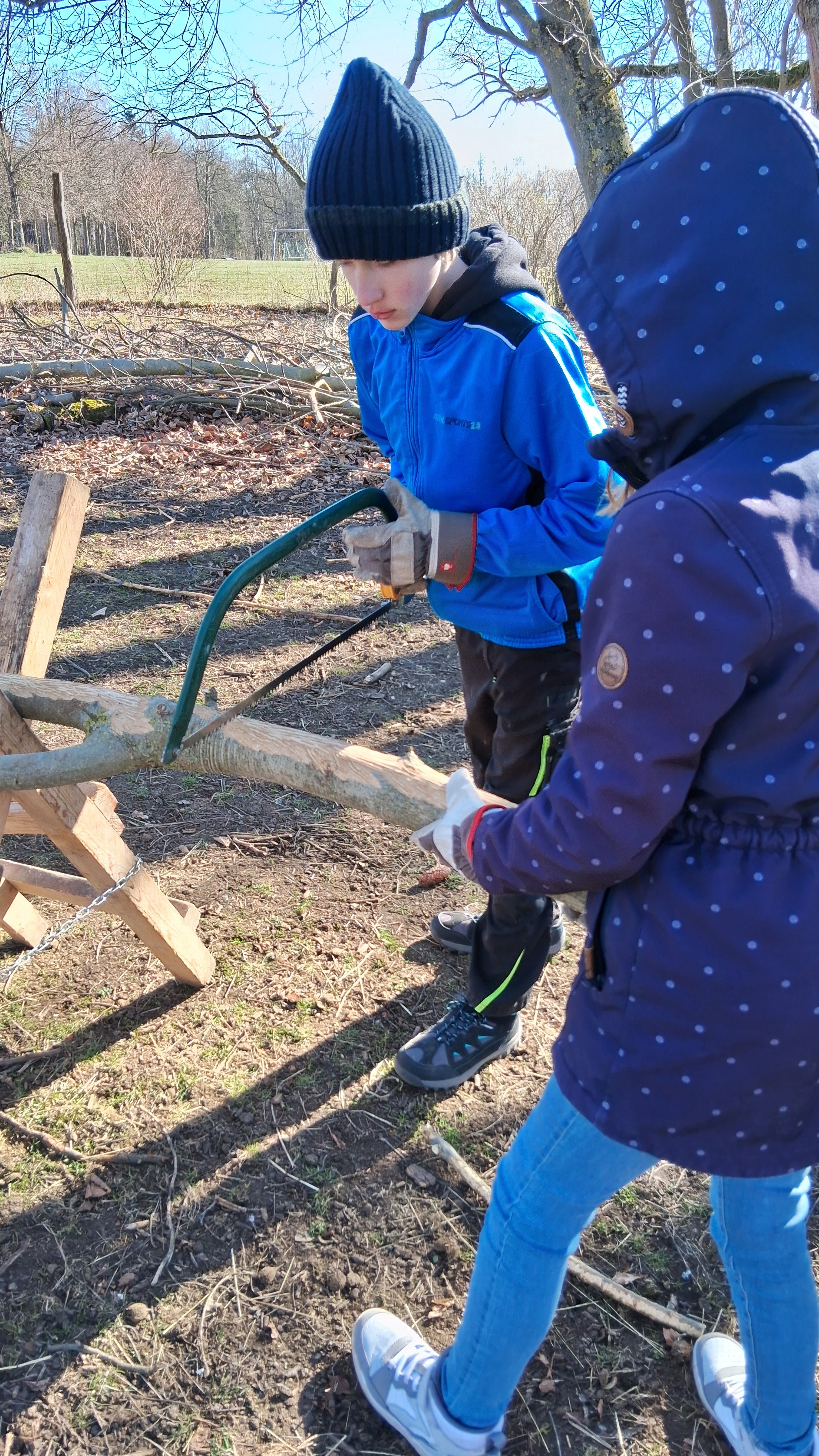 Arbeiten im Wald - Sägen