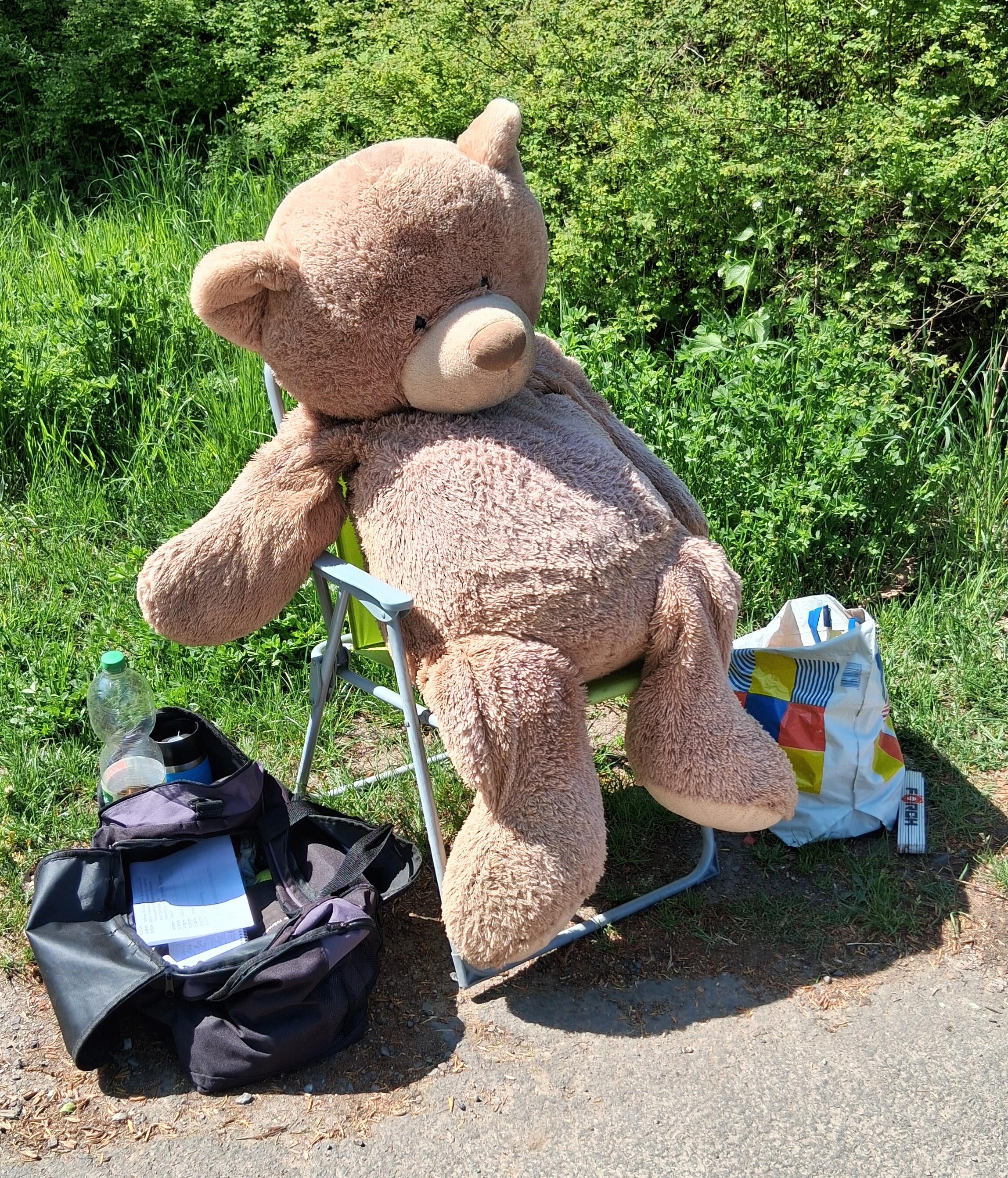 Bremstest-Teddy Knut