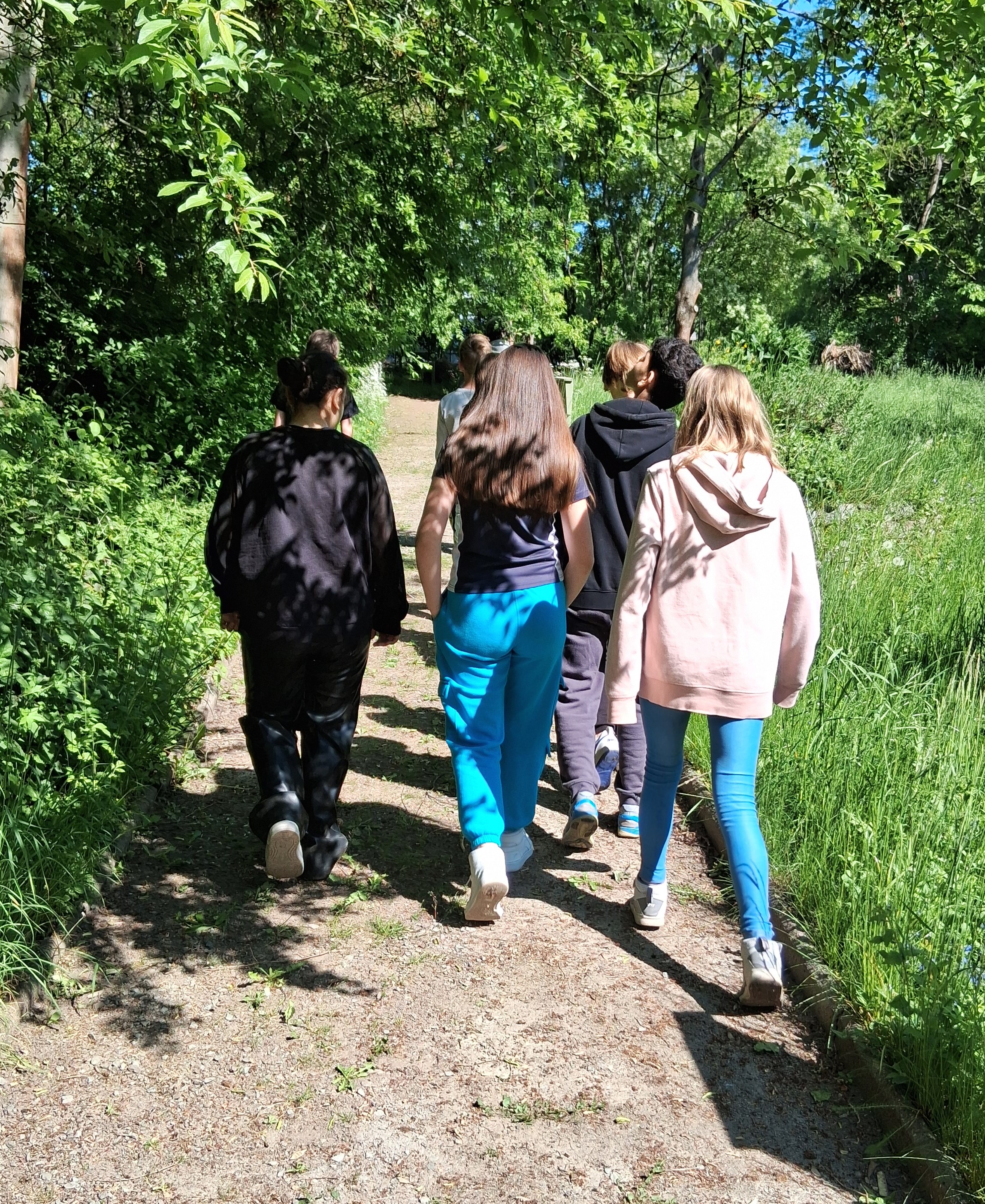 Spaziergang über das Ökoschul-Gelände