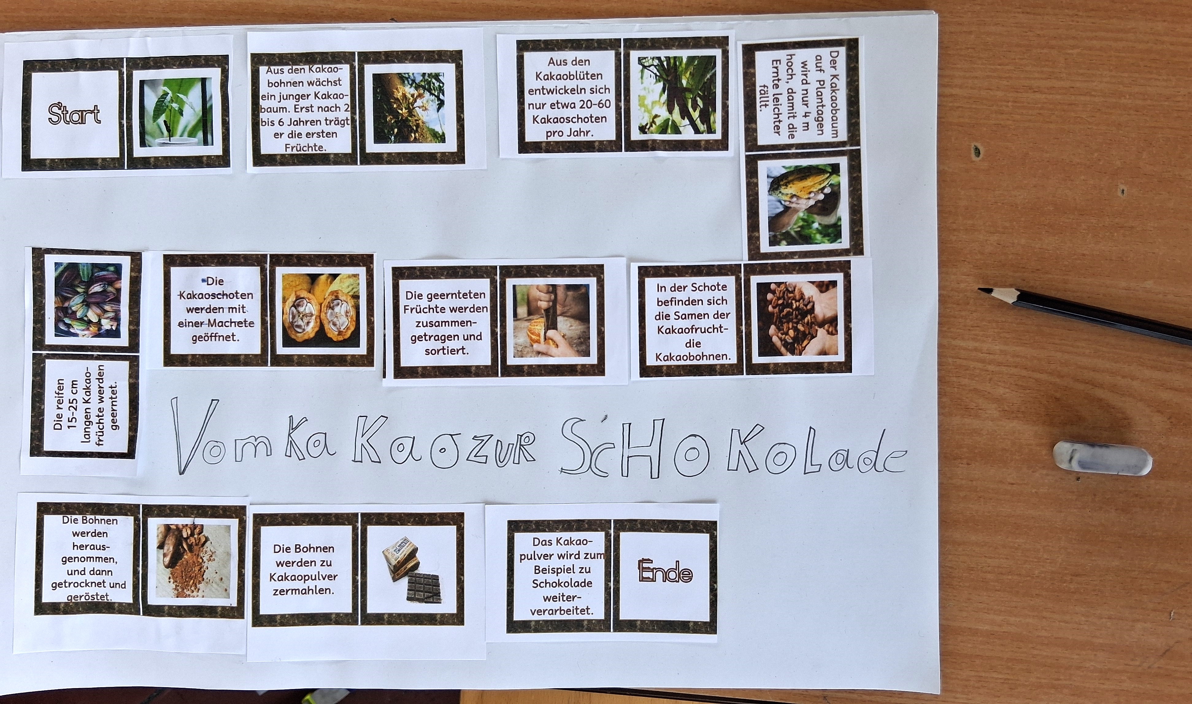Vom Kakao zur Schokolade_Domino