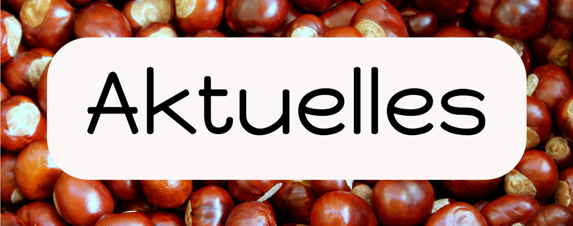aktuelles