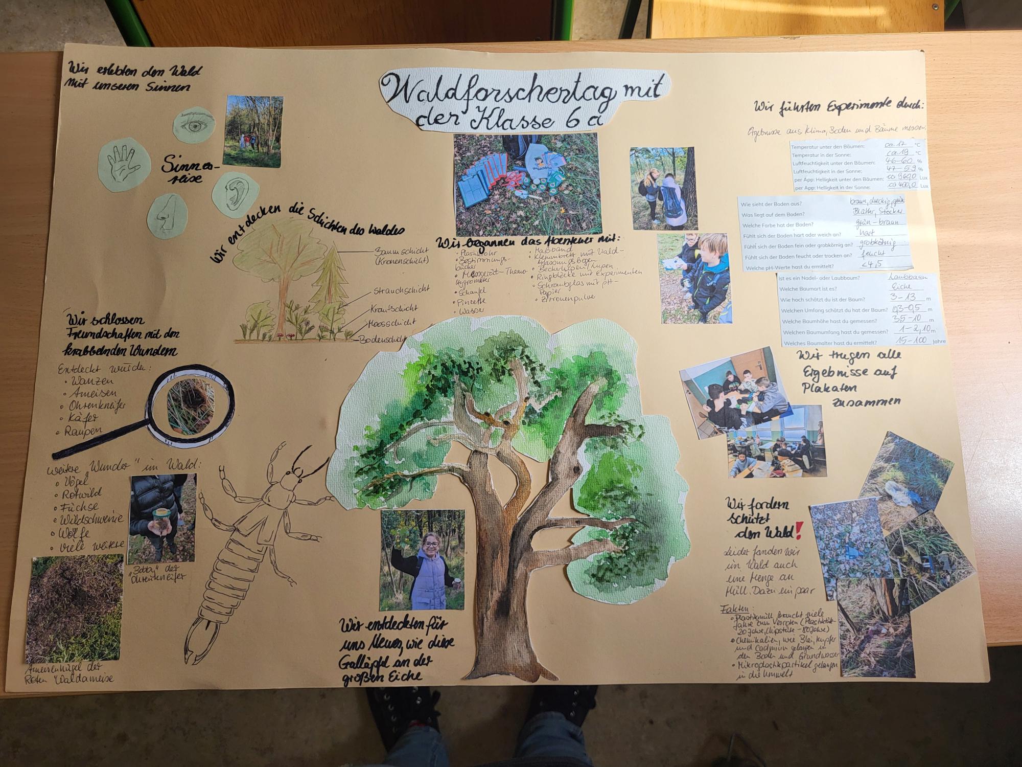 Poster der Klasse 6a