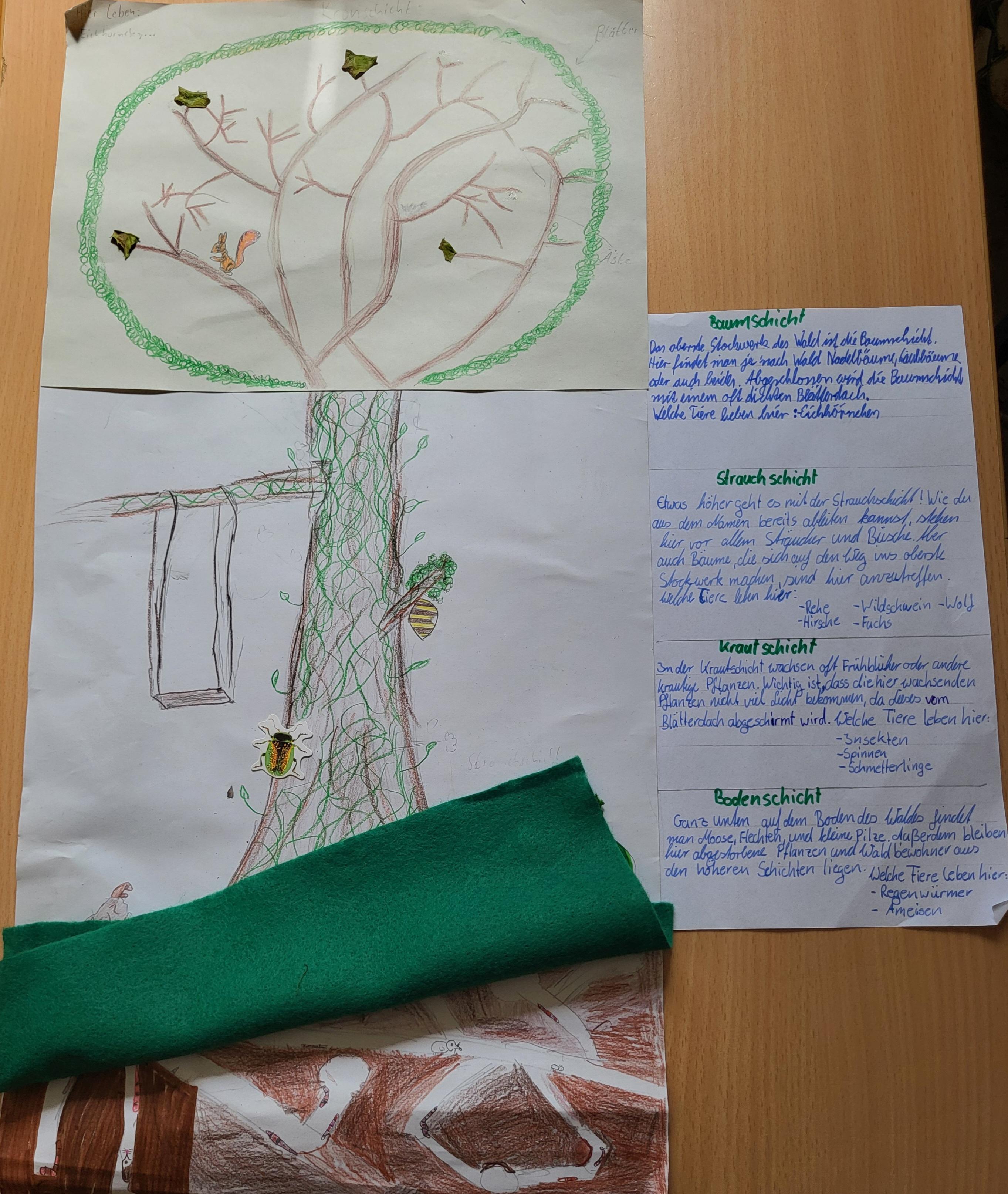 Poster der Klasse 6a