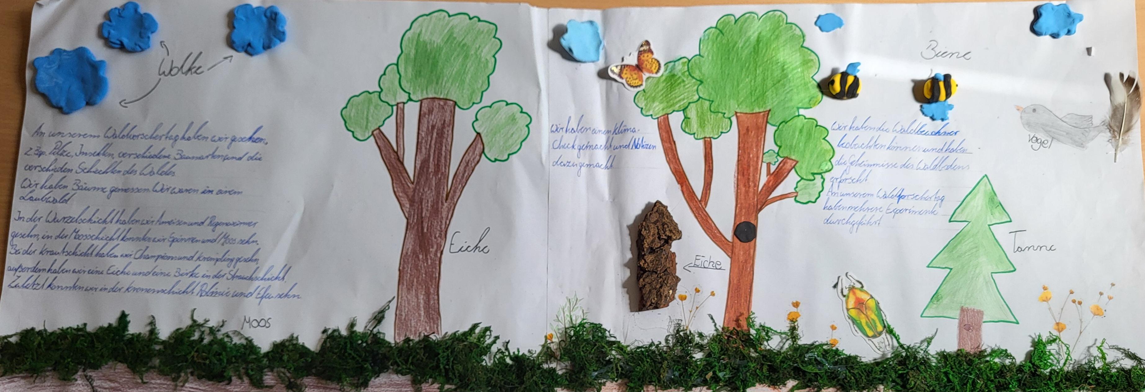 Poster der Klasse 6
