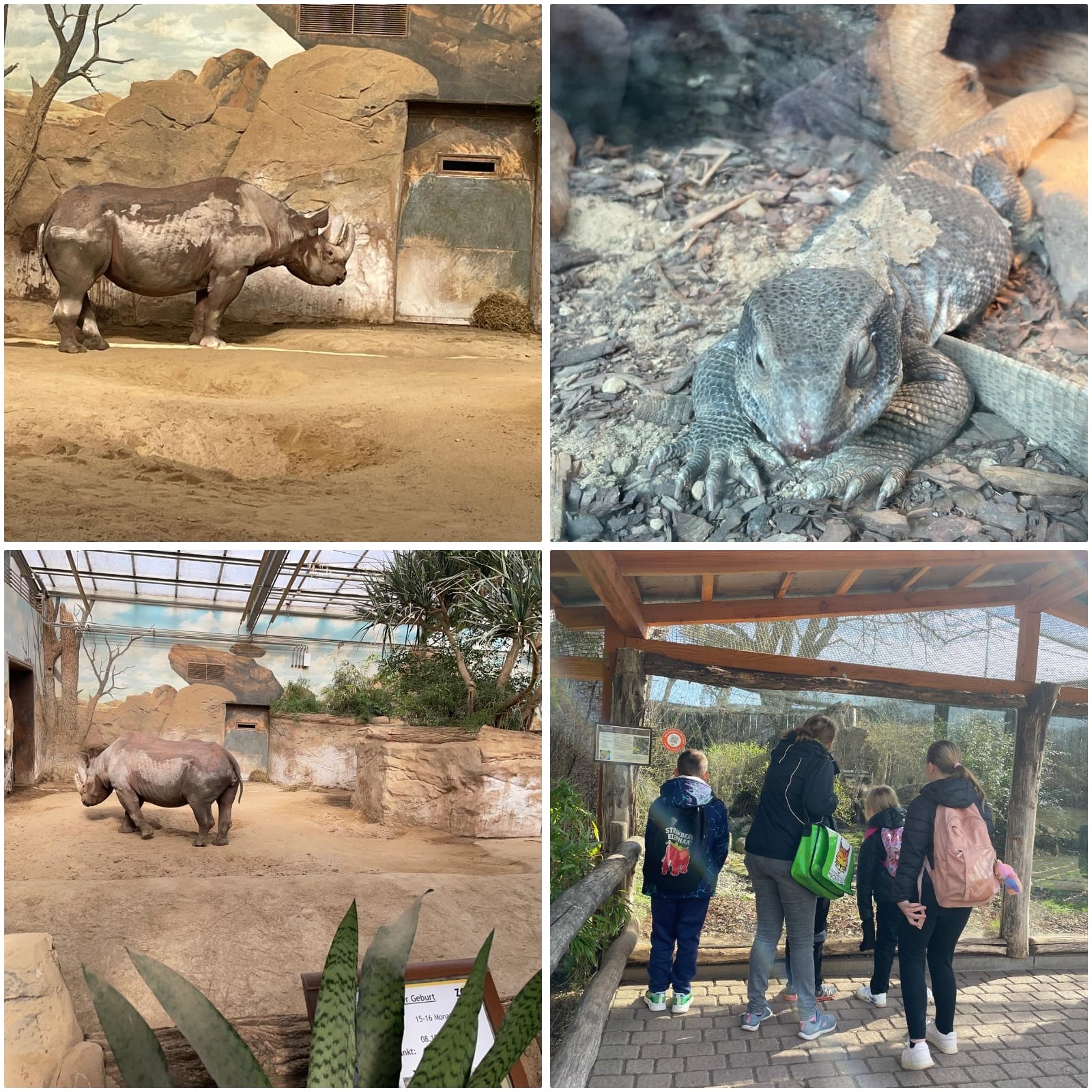 Zoo