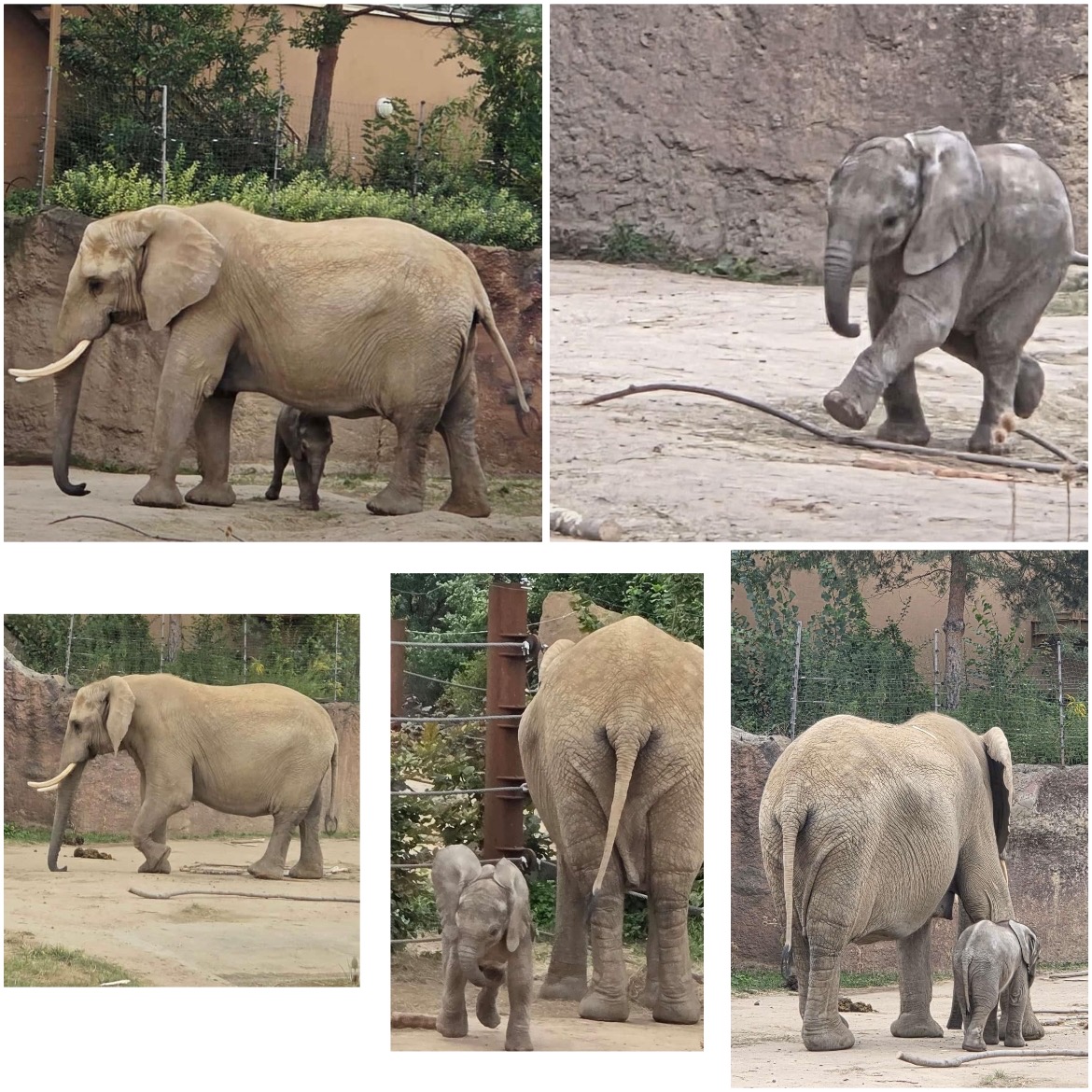 Zoo