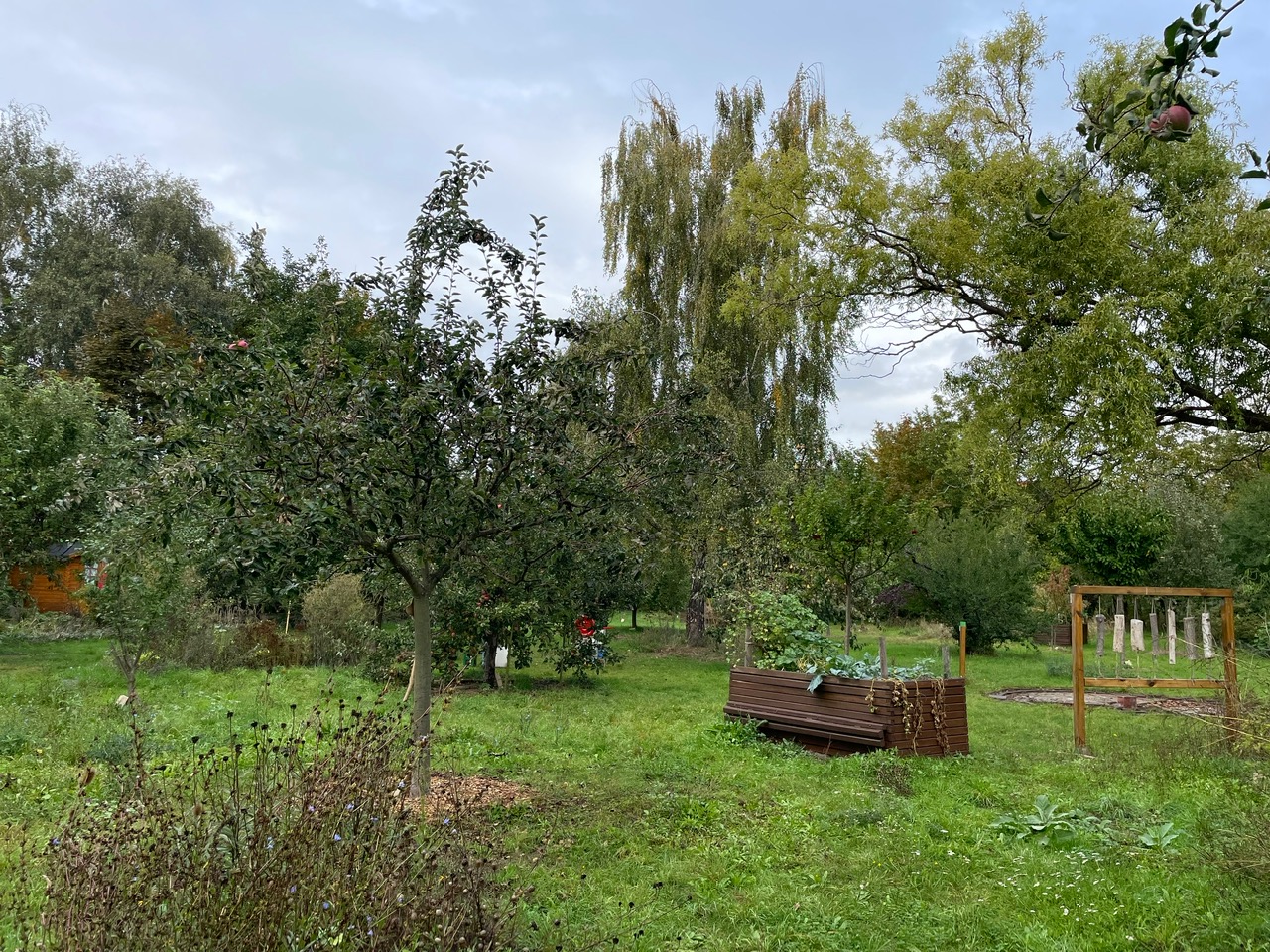 Streuobstwiese