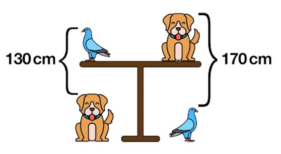 Ein Tisch mit Hund und Taube